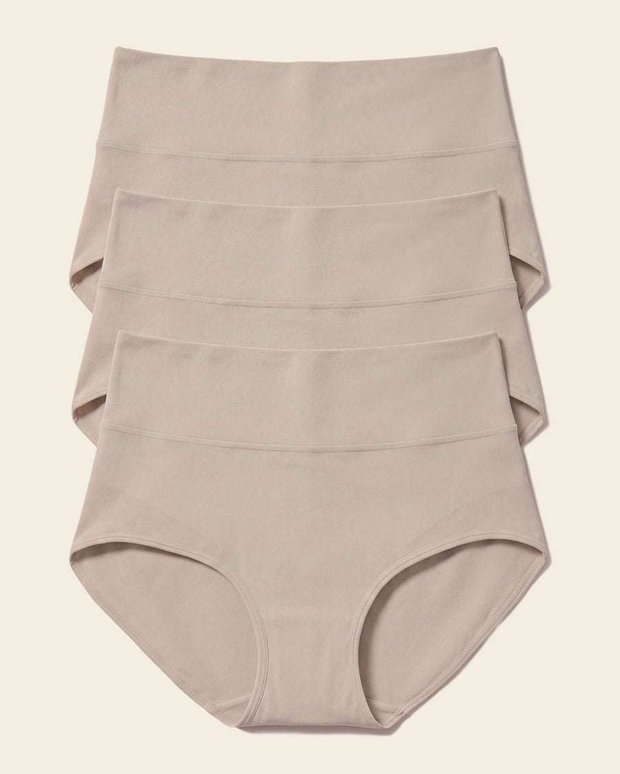 Leonisa 3-Pack High-Waisted Classic Sculpting Briefs