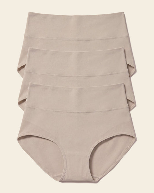 Leonisa 3-Pack High-Waisted Classic Sculpting Briefs